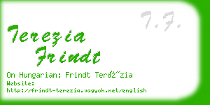 terezia frindt business card